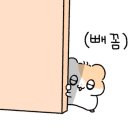 커피숍부르스