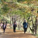 계족산황톳길 이미지