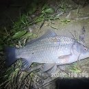 청도천3 이미지