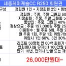 세종 레이캐슬 골프&리조트 이미지