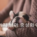 한주동물병원 이미지