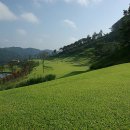 골드나인CC(대중제) 이미지