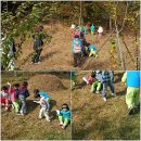 숲소리어린이집 이미지