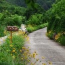 물소리민박 이미지