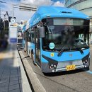 2019-주113 이미지