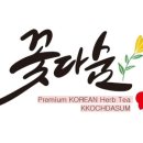 꽃다숨정미란