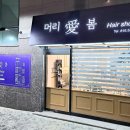 머리애 봄 - 해운대구 | 머리애 봄