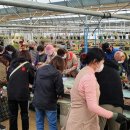 둔전리마을회관 이미지