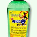 청솔애니텍 네이버블로그
