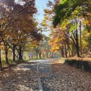 옥천 장령산 자연휴양림 힐링 산책=&#34;철광석 폐광을 51억 들여서 이렇게 바꿨다고요?&#34; 개장하자 7만 명 다녀간 자연휴양림 이미지