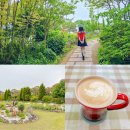 나문재 | 충남 태안 가볼만한곳 태안 나문재 카페 나들이 여행지