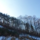 무릉도원면-1 이미지