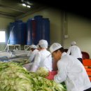 해수농장 이미지