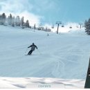 휘닉스파크 이미지