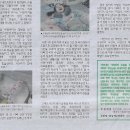 밀알광고