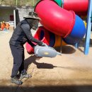 성서초등학교 병설유치원 이미지