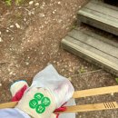 @trip(엣트립) | 여기어때 함께어때 플로깅 모임 후기