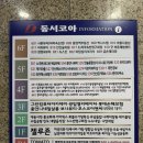 미모가눈썹 | 안산 중앙동 자연스러운 눈썹 반영구 맛집 미모가눈썹 만족후기