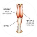 영짐(YOUNG GYM) 이미지