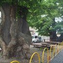 현동면사무소 이미지