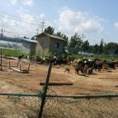 홍우농장 이미지