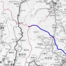 우듬지