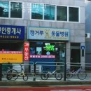 캥거루 동물병원 이미지