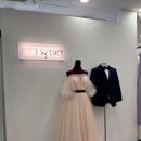 스튜디오 루시 | 강남 제이바이루시 촬영 드레스 가봉 후기!