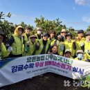 신효동-20 이미지