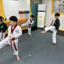 용인대 국가대표 김병태 태권도장 이미지