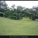 코스모스가든 이미지