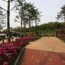 중랑캠핑숲 이미지