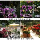 서울식물원 이미지