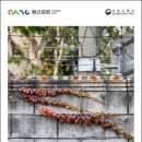 용산-221 이미지