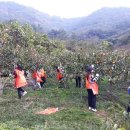 북면농협 이미지