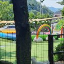 멍멍이와 숲속에서 이미지