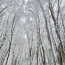 월가힐링 이미지