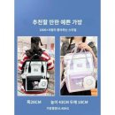 개 쿨 이미지