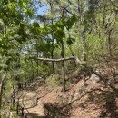 봉제산 장수동산 이미지