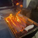 선바우집