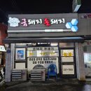 금돼지돈돼지 이미지