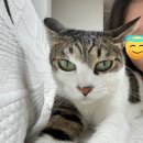 마마필효자안마원 | 해피 메이🌹