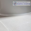 [천안/아산/세종] 세탁기 하수구 냄새 차단 트랩, 장마철 모기 초파리 유입 경로 원천 봉쇄