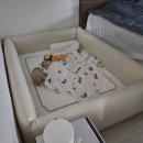 후 스토리 | 코지스토리 범퍼침대 내돈내산 후기｜신생아 침대 졸업 후 한 달 사용기