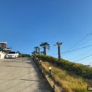 남면로-1 이미지