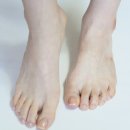 화이트의원 이미지