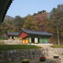 구룡사 티스토리
