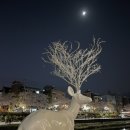 우이천 벚꽃 축제💜 이미지