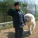 풍산개마을 이미지