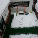 새한 행정사사무소 이미지